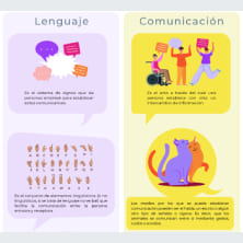 Vista del curso 6