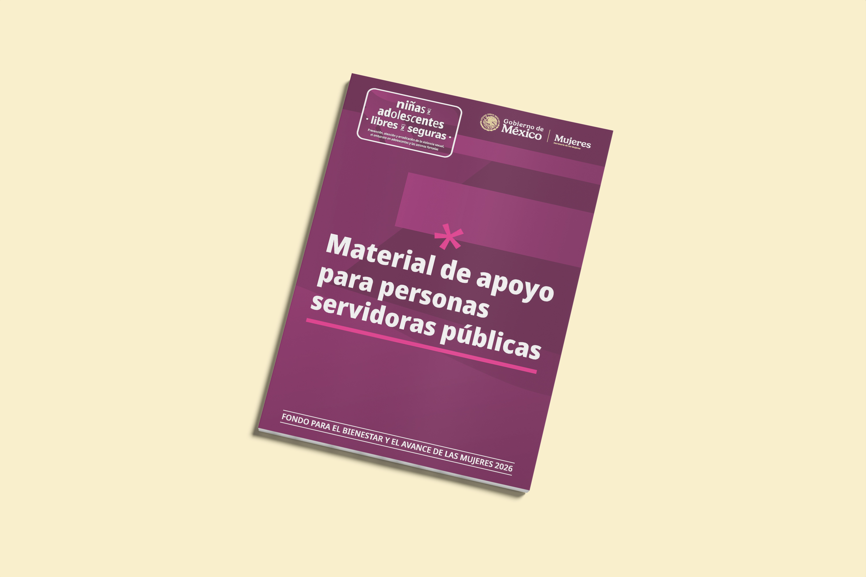 Material de apoyo para personas servidoras públicas
